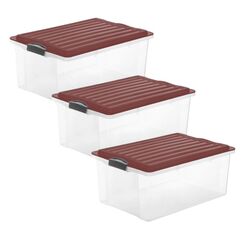 Rotho 6672302104WS Aufbewahrungsbox Rechteckig Polypropylen (PP) Braun, Transparent
