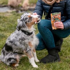 Nobby StarSnack Hund Snacks Ente 70 g