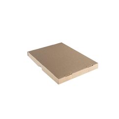 Brieger 71188 Paket Verpackungsbox Braun 10 Stück(e)