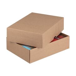 Brieger 71197 Paket Verpackungsbox Braun 100 Stück(e)