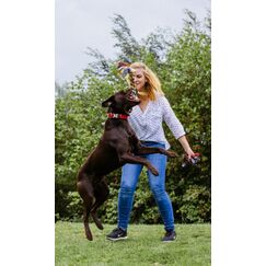 Nobby 72494 Hunde-/Katzenspielzeug