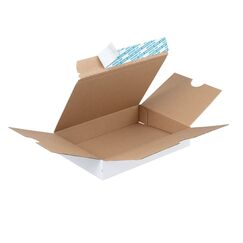 Brieger 74220 Paket Verpackungsbox Weiß 25 Stück(e)