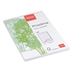 Elco 74325.17 Notizbuch A4 100 Blätter Grün, Weiß