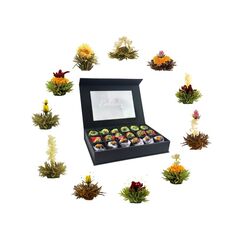 Creano Mixed 18er Box Mit Magnetverschluss Erblühtee Weisser/Schwarzer/Grüner Tee