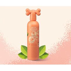 Pet Head Quick Fix 300 ml Hund 2-in-1 Shampoo & Spülung