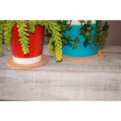 Colibri 7800.922 Zubehör für Übertöpfe Blumenkübeluntersetzer