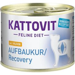 Kattovit Aufbaukur