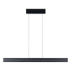 Paulmann LED Pendelleuchte Raiko RGBW+ dimmbar 2300 dimmbar 2300lm / 370lm 19W / 6W Schwarz