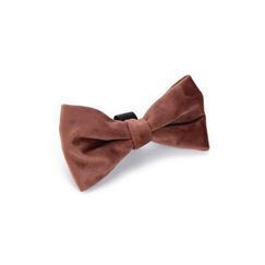 Designed by Lotte Zaza Pink Samt, Polyester Hund Standardkragen