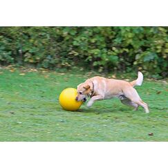 Kerbl 82274 Hunde-/Katzenspielzeug