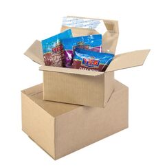Brieger 870/10 Paket Verpackungsbox Braun 25 Stück(e)
