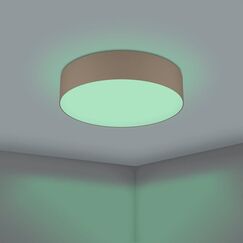EGLO Romao-Z Deckenbeleuchtung LED 35 W F