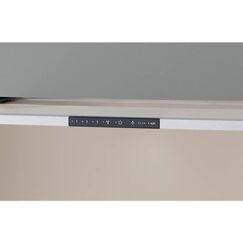 Electrolux DASL9046CN Halb eingebaut (Pullout) Chrom 574 m³/h