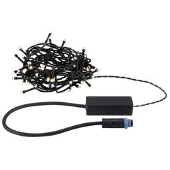 Paulmann Plug & Shine LED Lichterkette Yuna WM Yuna Warmweiss 7,4m IP44 1,3W Schwarz