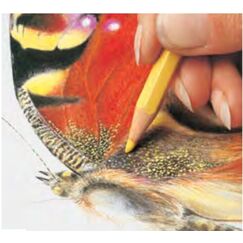 Caran d-Ache 999.249 Buntstift Grün 1 Stück(e)
