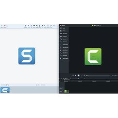 TechSmith Snagit + Camtasia Studio Voll 10 - 14 Lizenz(en) Erneuerung