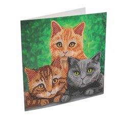 CRAFT Buddy CCK-A127 Kunst-/Bastelspielzeug