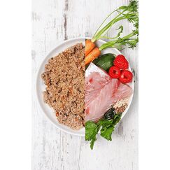 Dog's Love DA00400FI Hunde-Dosenfutter Fisch Adult 400 g