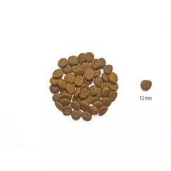 Dog's Love DDA02000SA Hunde-Trockenfutter 2 kg Adult Lachs