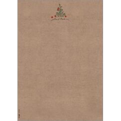 Sigel DP415 Druckerpapier A4 (210x297 mm) 100 Blätter Beige, Braun, Grün, Rot