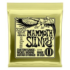 Ernie Ball P02214 Elektro 6 Stück(e) Stahl Gitarre