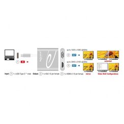 DeLOCK 87705 USB-Grafikadapter 3840 x 2160 Pixel Silber