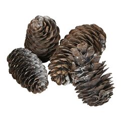 COCON F03009 Christbaumschmuck Holz