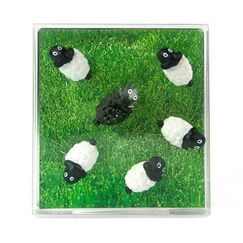 Trendform FA3737 Kühlschrankmagnet Kunstharz Schwarz, Weiß 6 Stück(e)