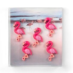 Trendform FA4615 Kühlschrankmagnet Kunstharz Pink 5 Stück(e)