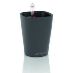 LECHUZA 14944 Drinnen Topfpflanzer Freistehend Polypropylen (PP) Weiß, Farbe: Schwarz
