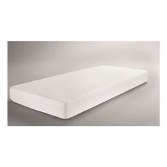 Dormisette Molton