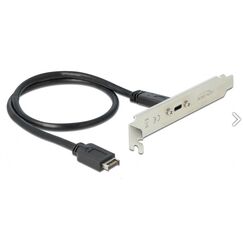 DeLOCK Slotblech 1x USB 3.1 Gen2 C - Digital/Daten - 0,5 m