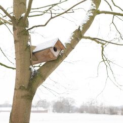 Esschert Design NK44 Vogelhäuschen