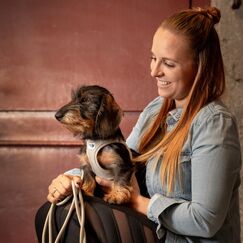 Curli Air-Mesh L Violett Polyester Hund Weste