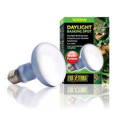 Exo Terra PT2133 Reptilien-Heizlampe 100 W 1 Stück(e)