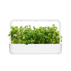 Click & Grow Apfel-Minze-Pflanzenhülsen