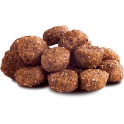 The Goodstuff Pferd - Minis (Adult)