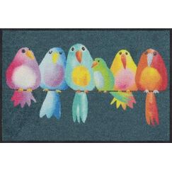 Salonloewe Rainbow Birds Dekorative Fußmatte Drinnen/Draußen Rechteckig Mehrfarbig