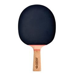 Donic Schildkröt 728461 Tischtennisplatte Schwarz, Holz