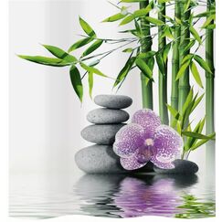 Diaqua Spa Duschvorhang Ring Polypropylen (PP), Kunststoff, Polyester Mehrfarbig