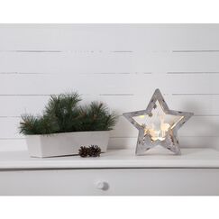 Star Trading Fauna Leichte Dekorationsfigur 10 Glühbirne(n) LED 0,3 W