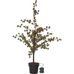 Star Trading Tree Larix Leichte Dekorationsfigur 40 Glühbirne(n) LED 1,2 W