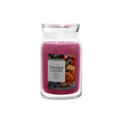 Yankee Candle Jingle Mingle Signature Large Jar 15 cm
