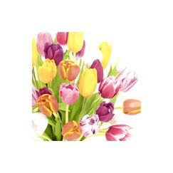 Paper + Design Servietten Beautiful Tulips 33x33 cm, 20 Stück