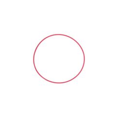 OM Digital Solutions Olympus POL-053 O-Ring Kunststoff Rot
