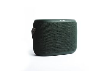 Pure 251891 Radio Tragbar Grün