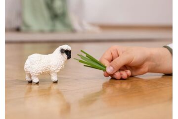 schleich 13965 Kinderspielzeugfigur