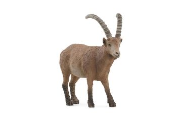 schleich WILD LIFE Steinbock