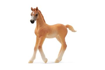 schleich HORSE CLUB Araber Fohlen