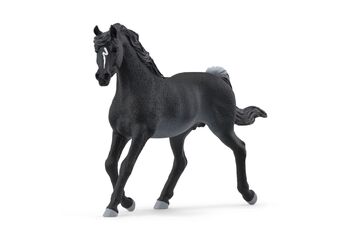 schleich HORSE CLUB Araber Hengst
